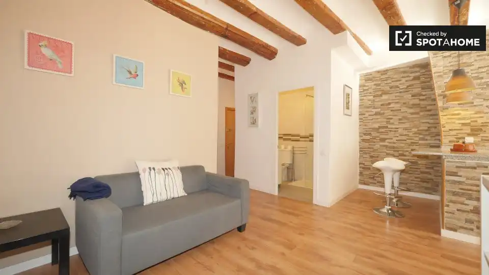 Piso con terraza en alquiler en Ciutat Vella, imagen 11