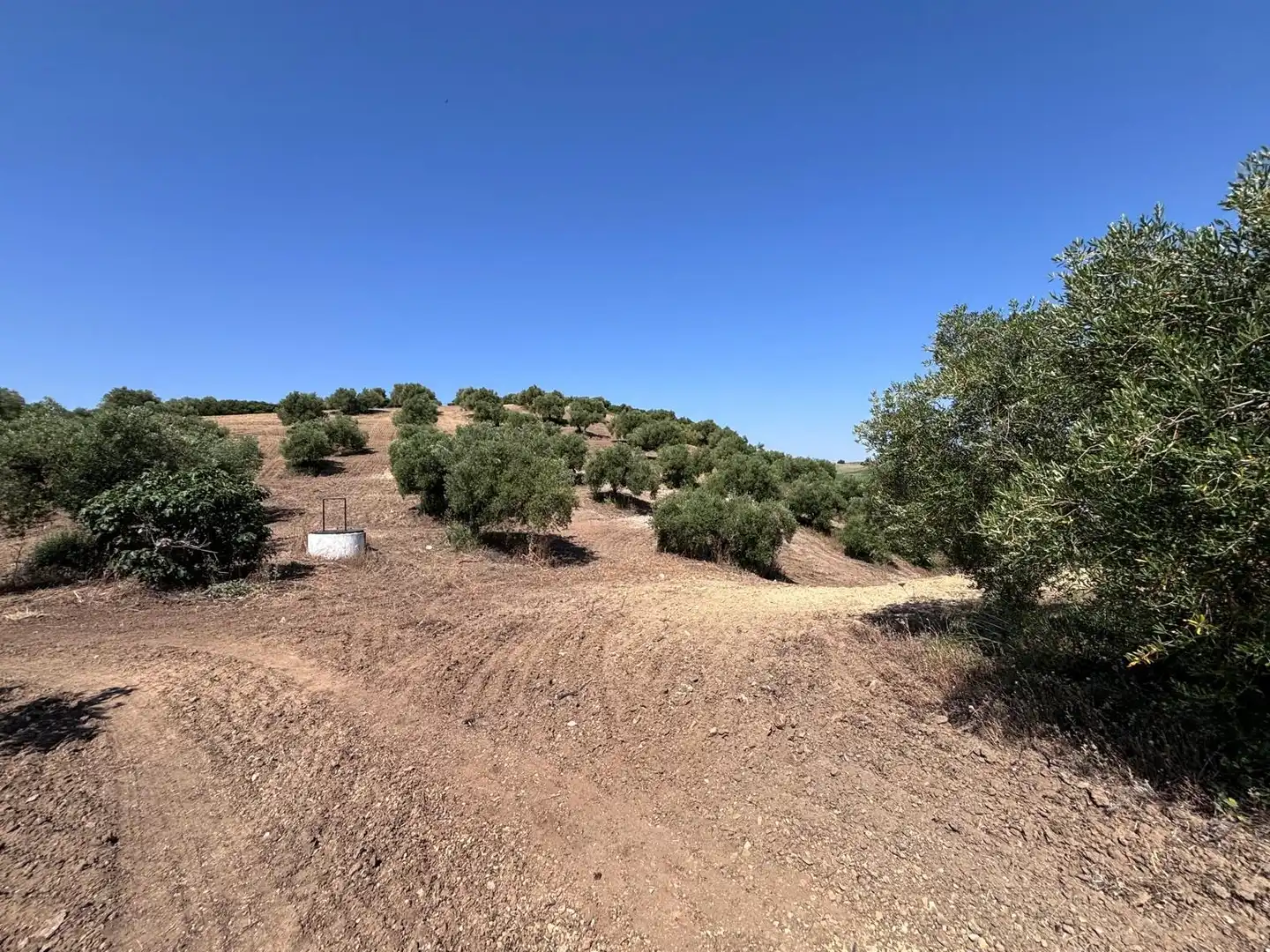Terreni e lotti in vendita a Arcos de la Frontera, imagen 18