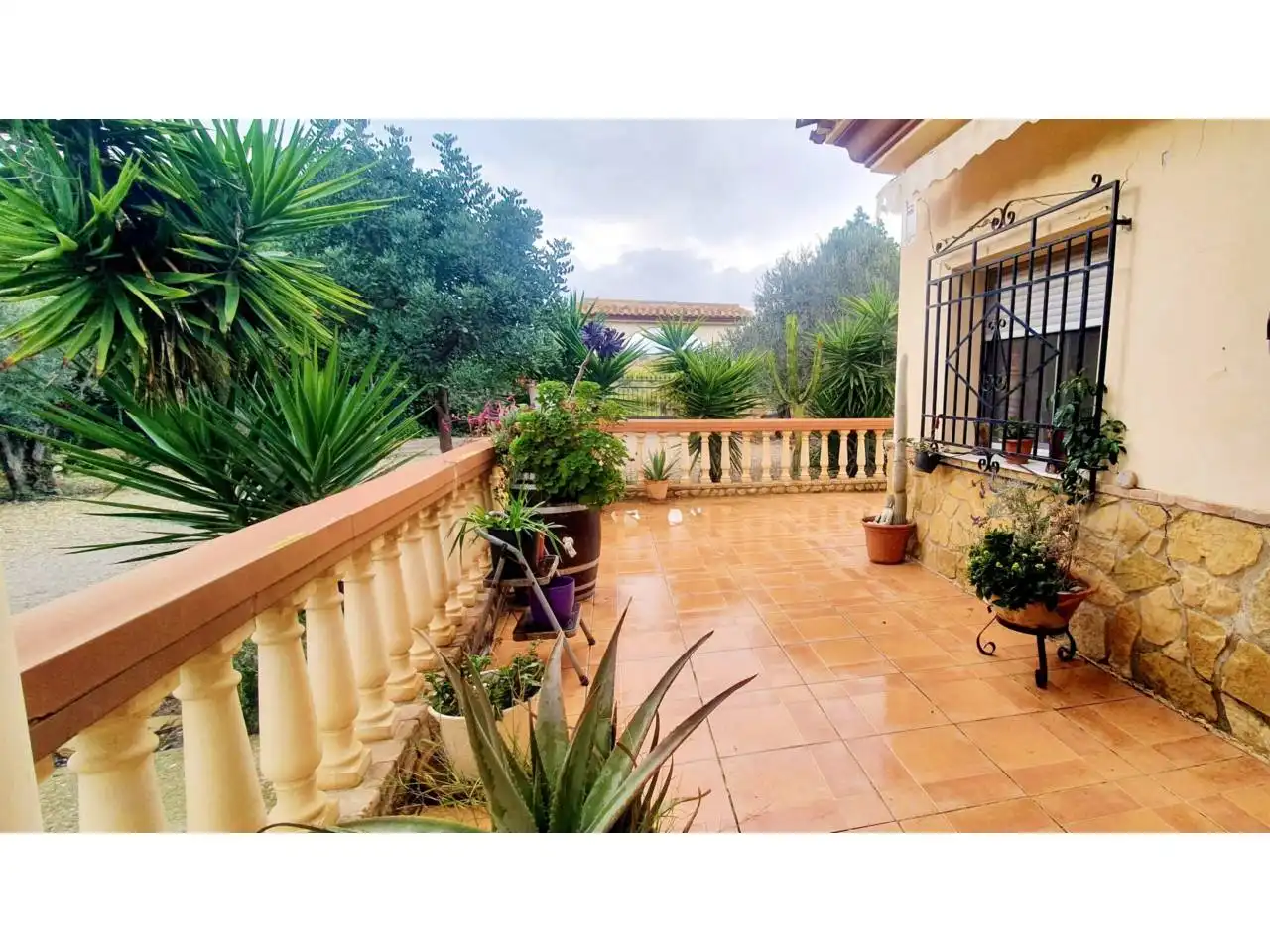 Casa rústica con jardín en venta en Los Gallardos, imagen 2