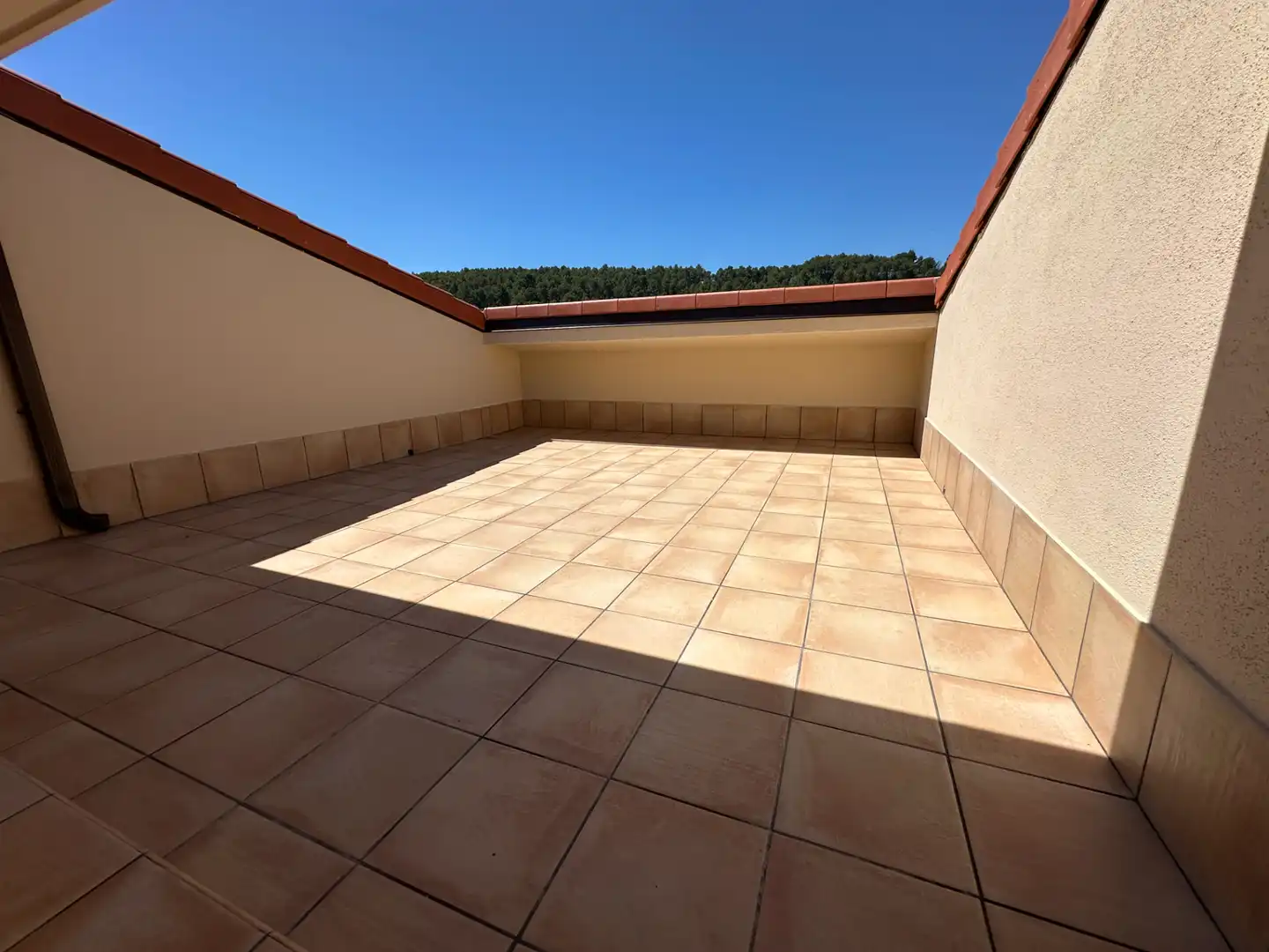 Neubau-Penthouse mit Terrasse zum Verkauf in Avinguda de Catalunya 55, imagen 15