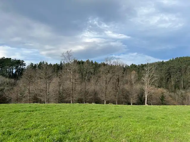 Land for sale in Lezama