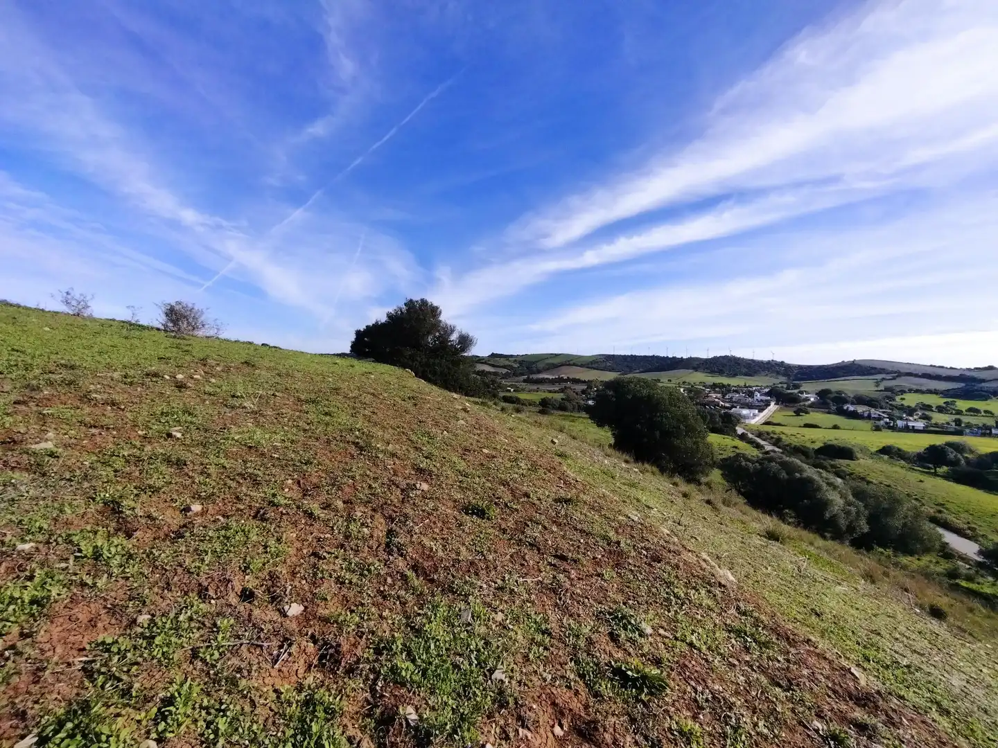 Terreno rustico in vendita a Carretera Arroyo San Ambrosio 385, imagen 14