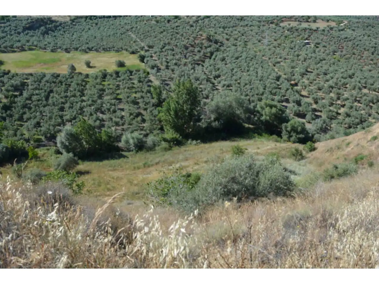 Lands and plots for sale in Plaza Iglesia 1, imagen 20