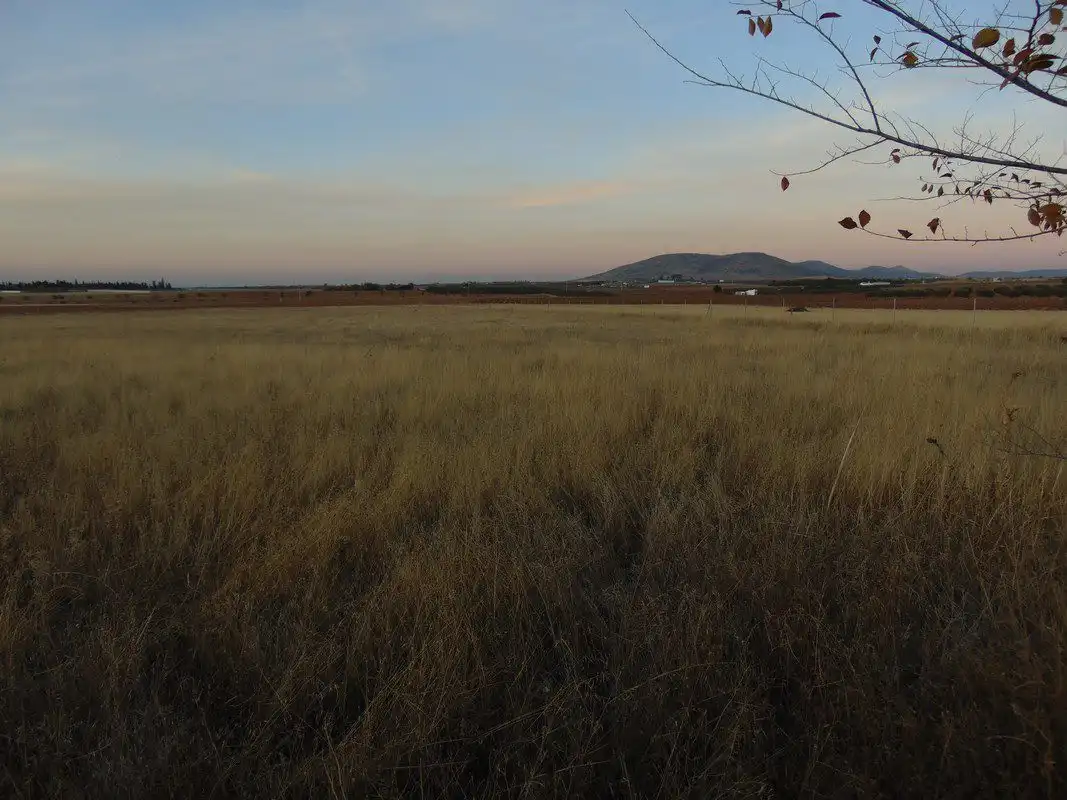 Terreno rustico in vendita a Valdepeñas, imagen 7