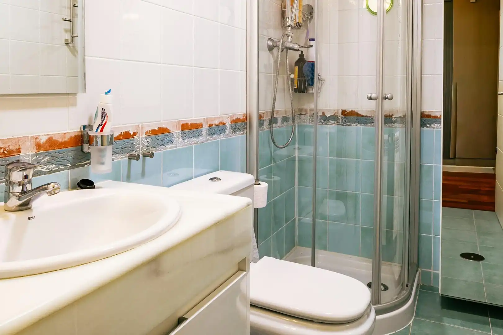 Bany de Casa o xalet en venda en Sabiñánigo