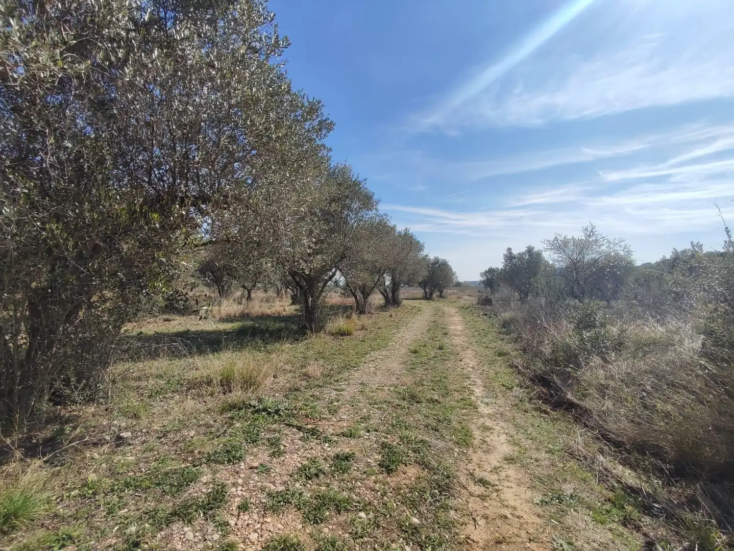 Country homes for sale in Collbató