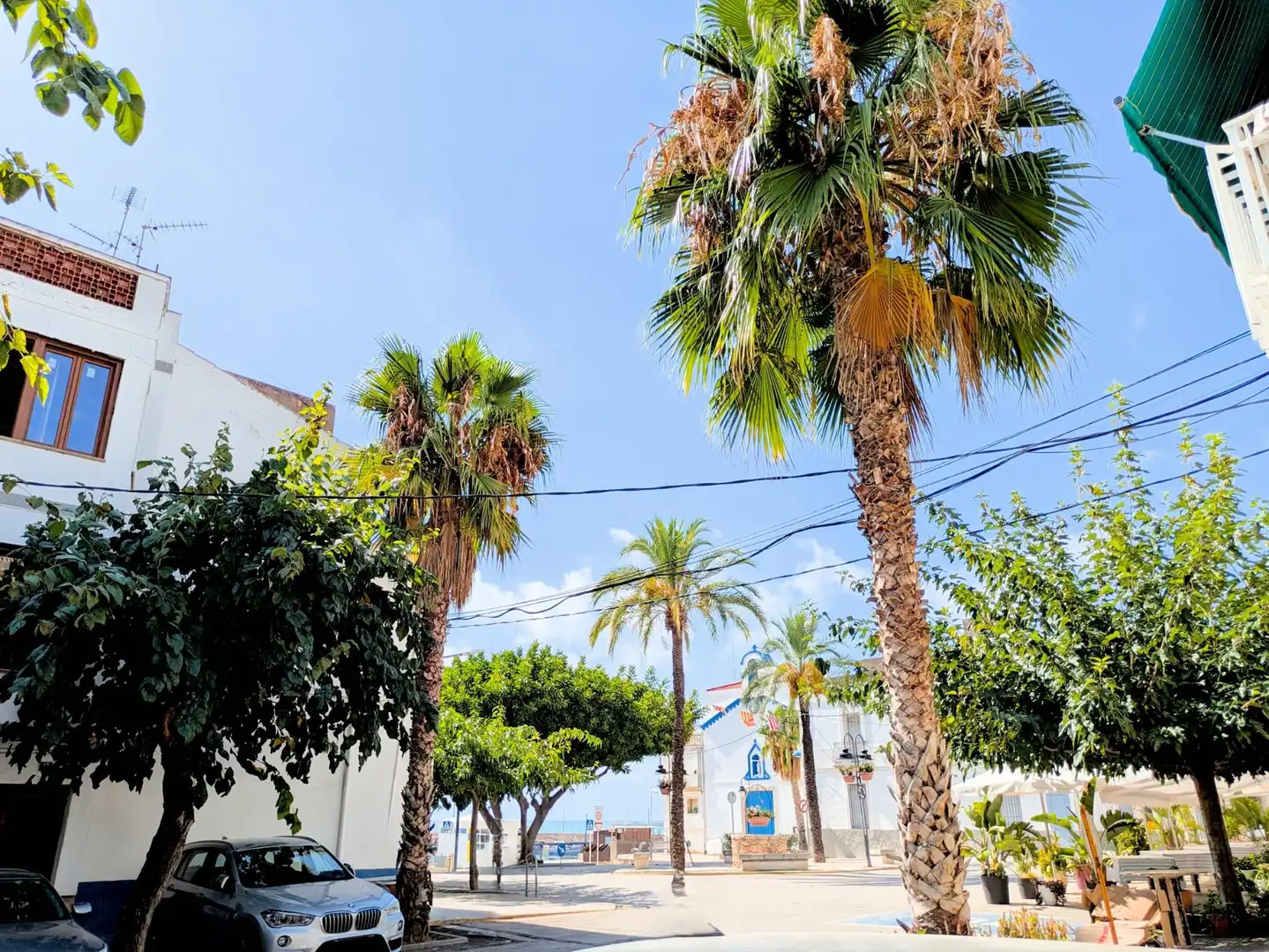Vista exterior de Casa o chalet en venta en Alcanar con Balcón