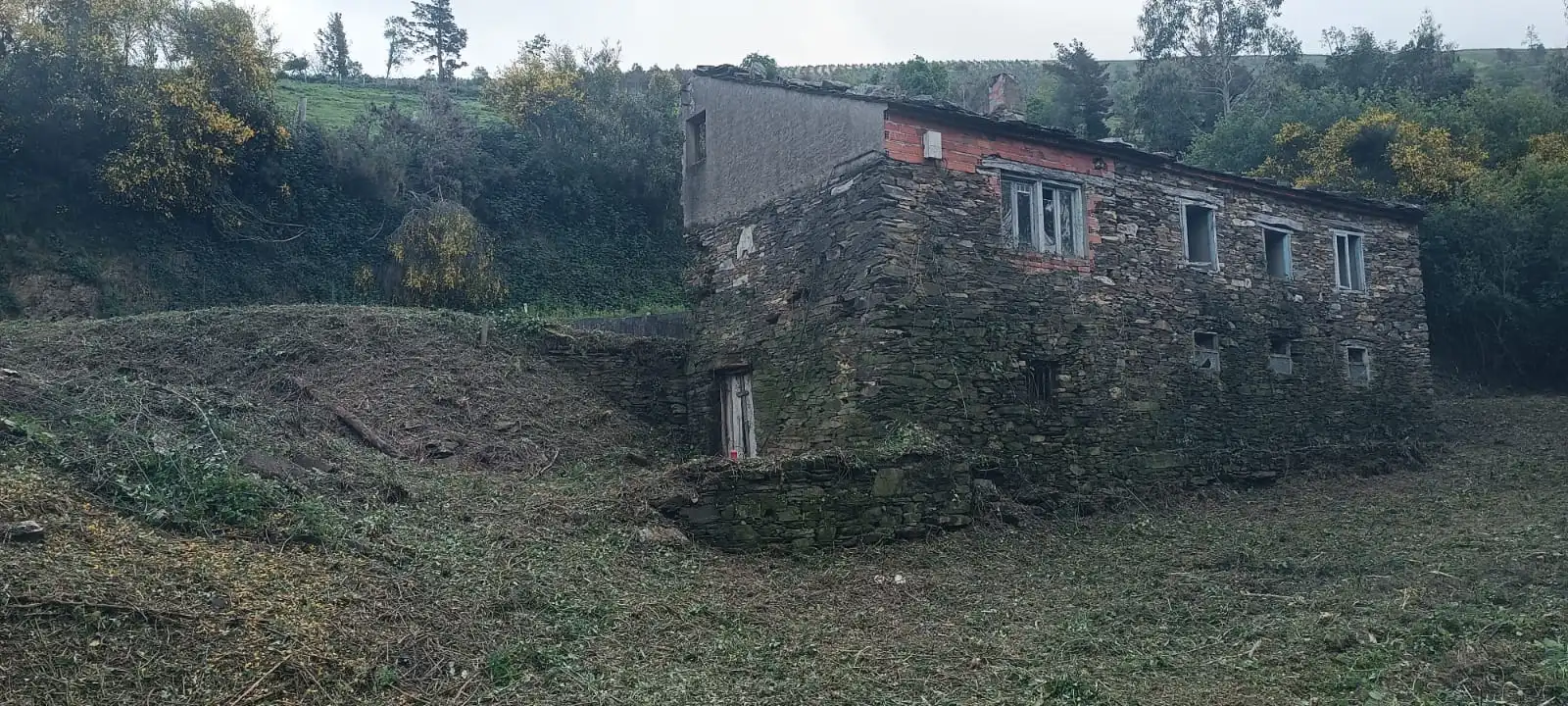 Vista exterior de Finca rústica en venta en Vegadeo