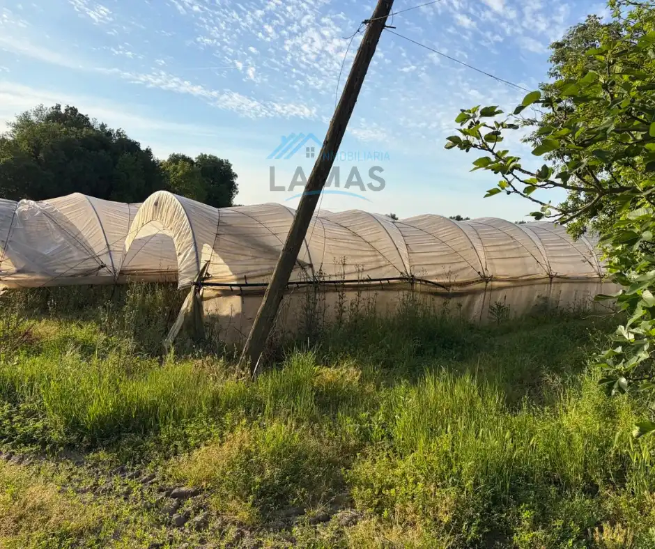 Finca rústica en venta en Cuacos de Yuste