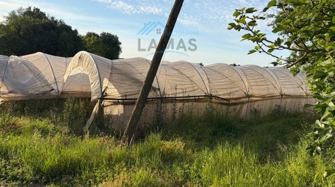 Foto 4 de Finca rústica en venta en N/a, -1, Cuacos de Yuste, Cáceres