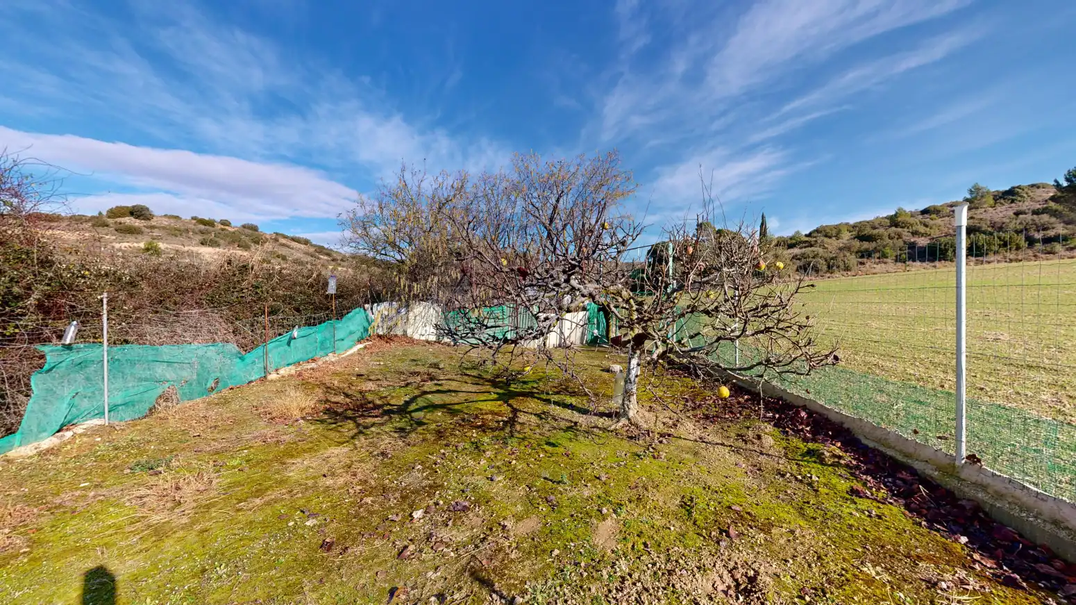 Rural land for sale in Tafalla - TERMINO JUNCAL, imagen 12
