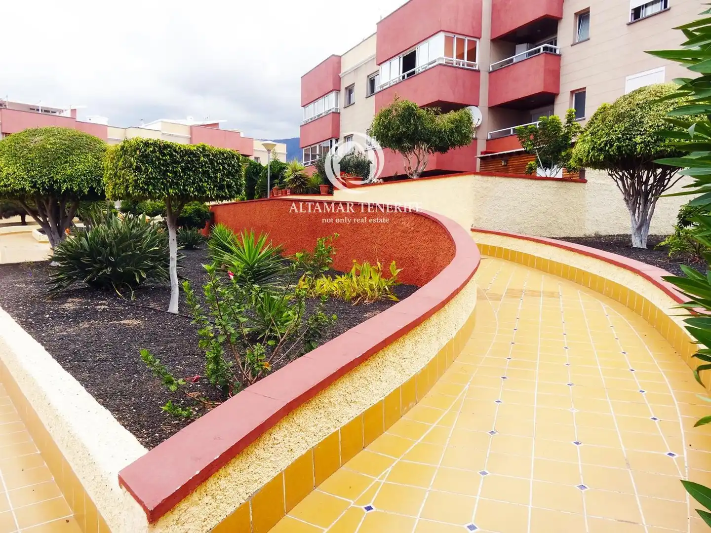 Terrasse von Wohnungen zur Miete in Adeje mit Terrasse und Möbliert
