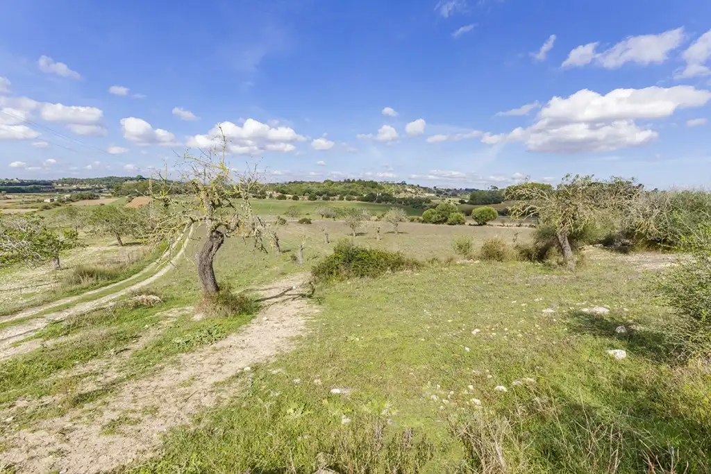 Rustikales Grundstück zum Verkauf in Sineu, imagen 6