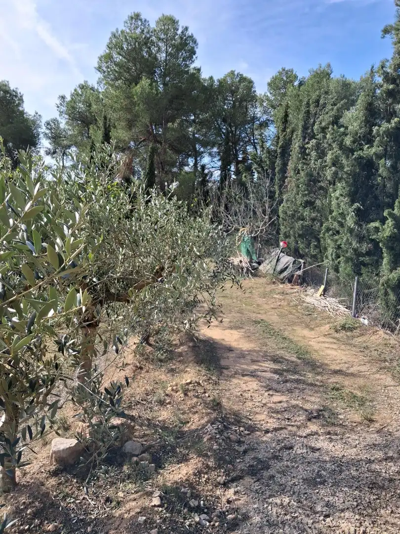 Rural land for sale in Ginestar, imagen 40