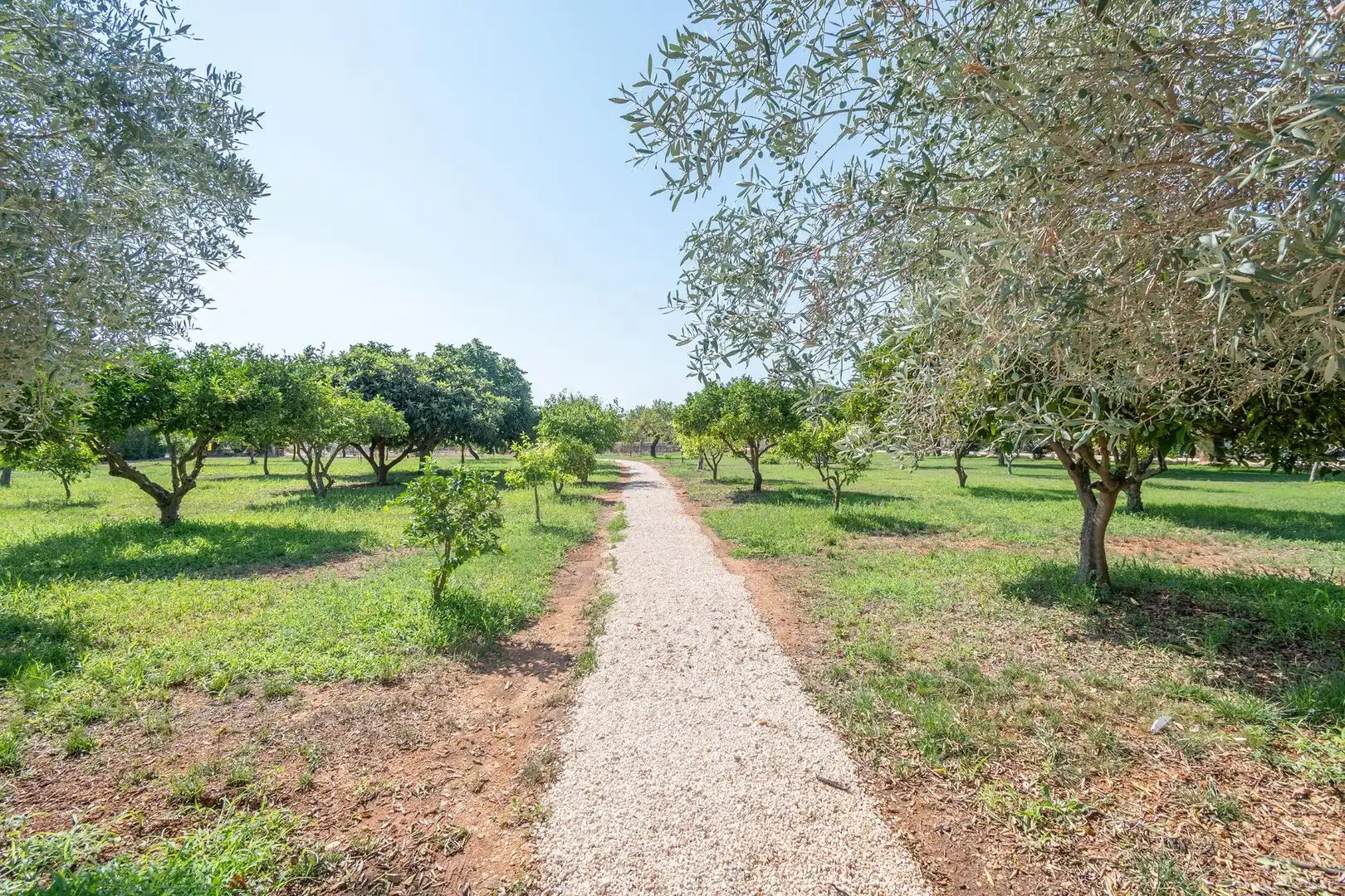 Country house with pool for sale in Binissalem, imagen 62