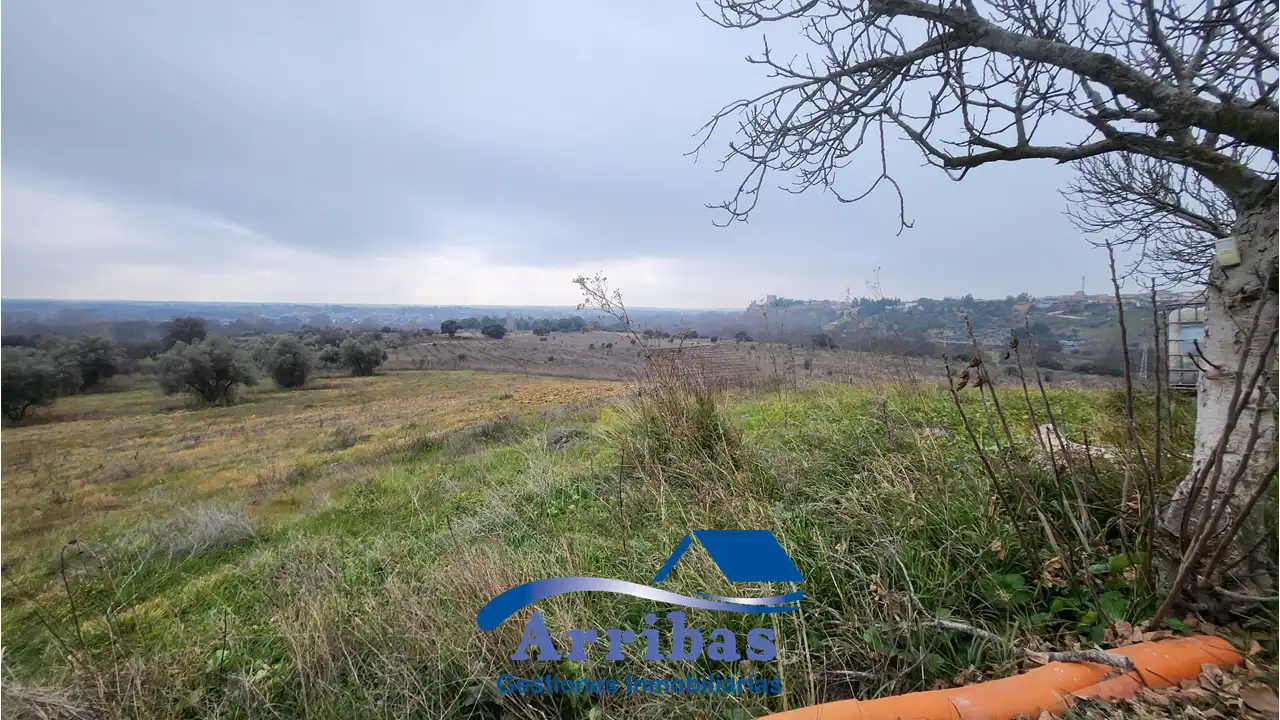 Country homes for sale in Escalona
