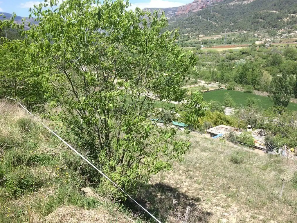Residential zum Verkauf in La Pobla de Segur