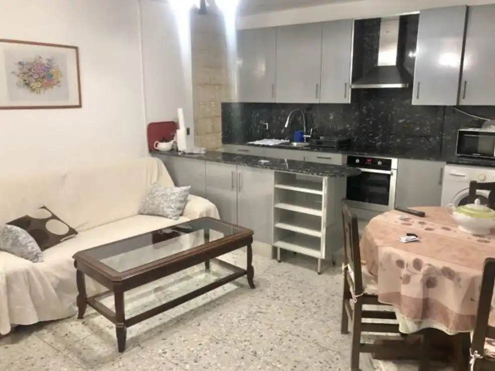 Wohnung zur Miete in Sant Daniel