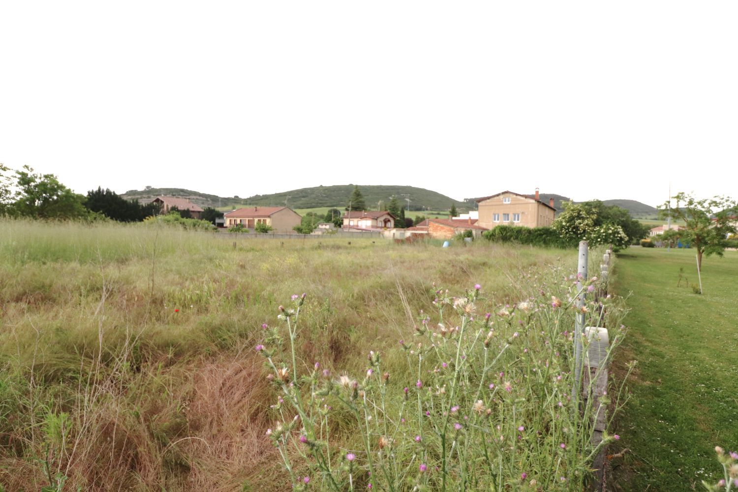 House or chalet for sale in Zambrana