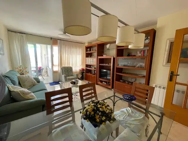 Living room of Attic for sale in Alicante / Alacant  with Terrace, Furnished and Community pool