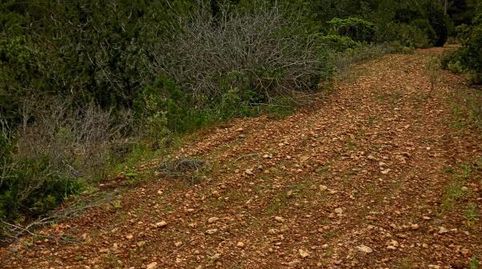 Foto 4 de Finca rústica en venta en Diseminado Berri, Cala Vedella - Cala Tarida, Sant Josep de sa Talaia