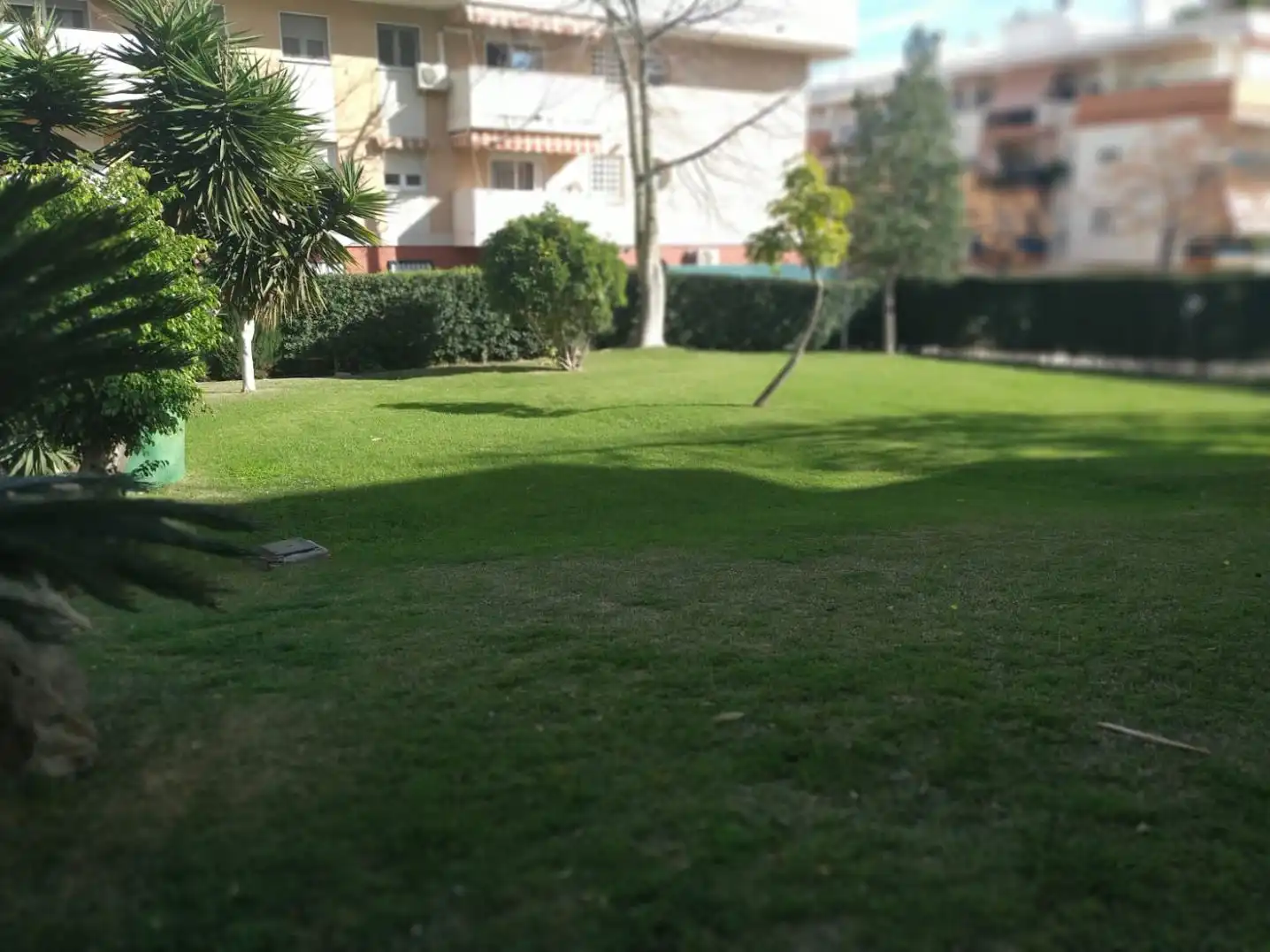 Garden of Flat for rent in Estepona Pueblo
