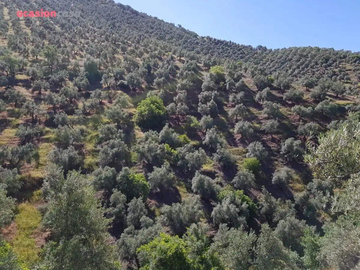 Finca rústica en venta en Villanueva de Córdoba con Jardín privado, Trastero y Amueblado