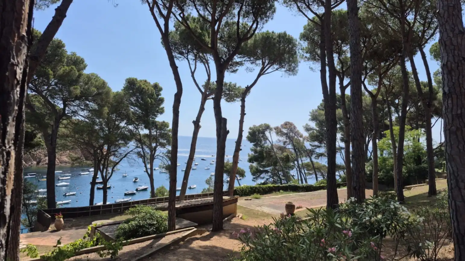 Jardí de Casa o xalet en venda en Palafrugell