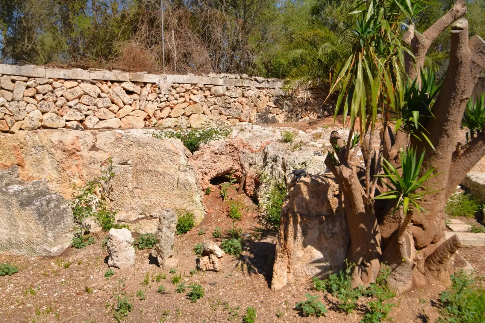 Jardín de Finca rústica en venta en Muro con Aire acondicionado, Jardín privado y Terraza