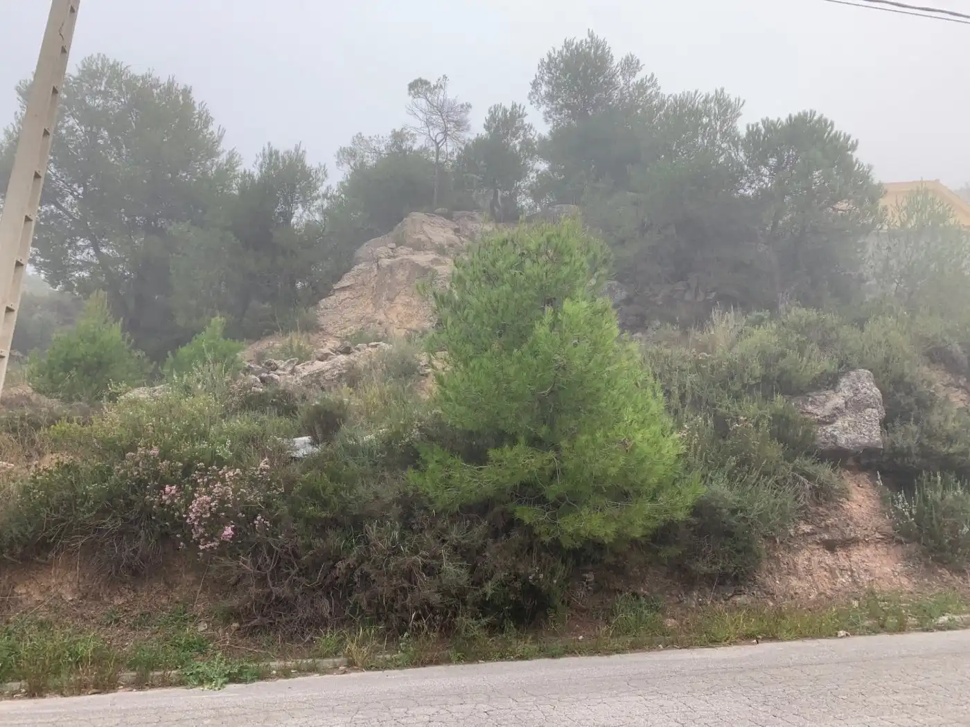 Terrenys i solars en venda a La Pobla de Claramunt