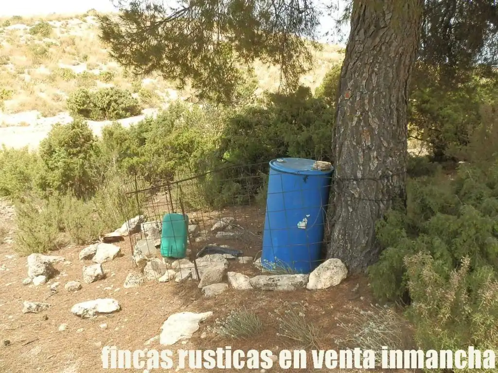 Rural land for sale in Chinchilla de Monte-Aragón, imagen 11