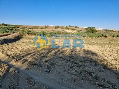 Terreno rustico in vendita a Moguer, imagen 5