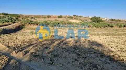 Finca Rústica entre Moguer y Palos, immagine 5
