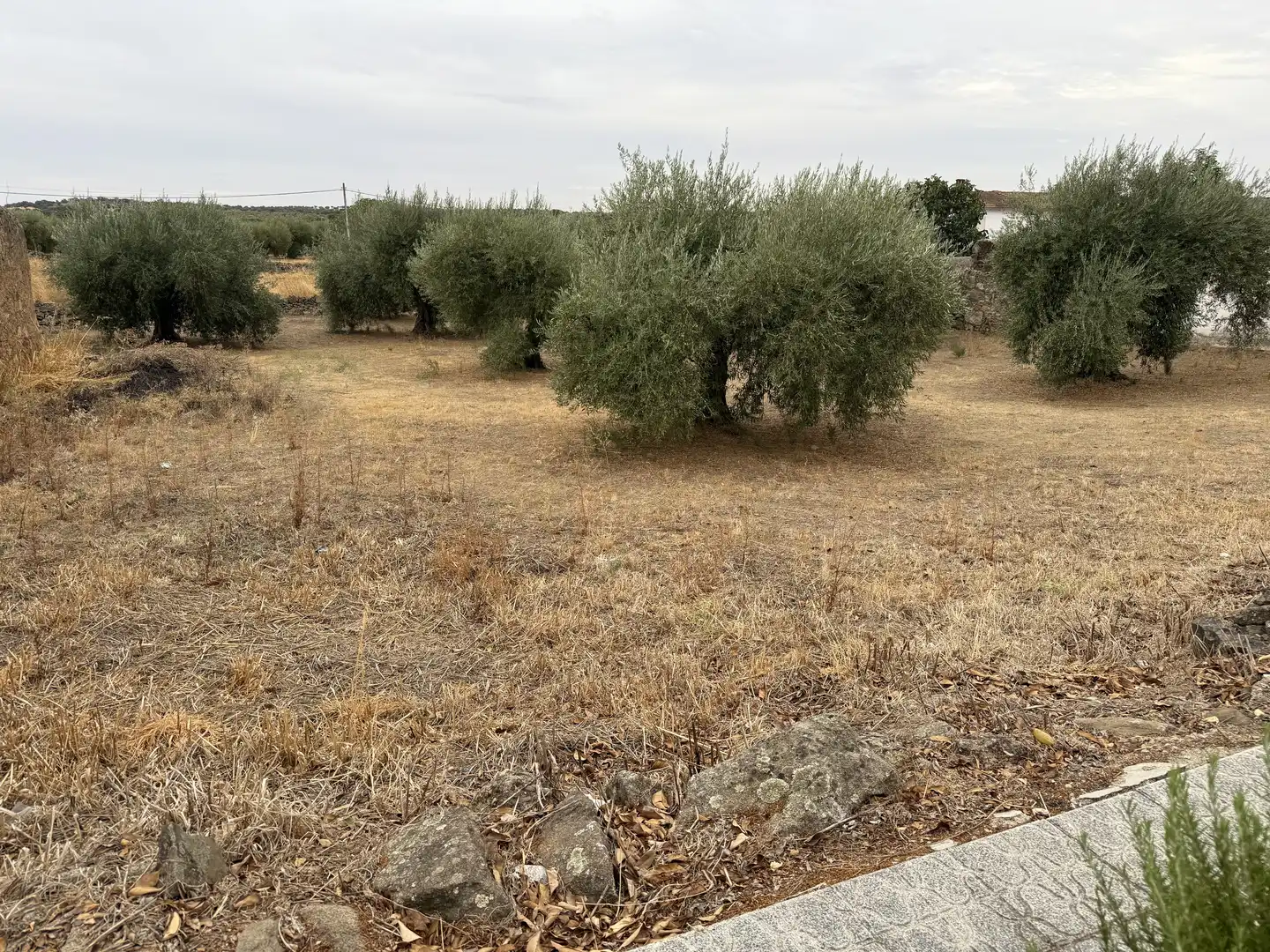 Terreno en venta en Villamesías