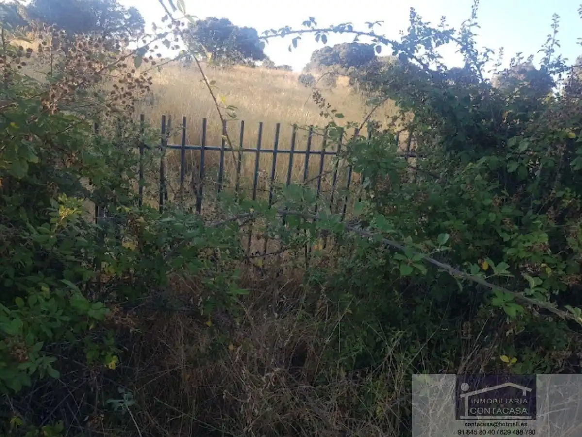 Finca rústica en venta en Colmenar Viejo