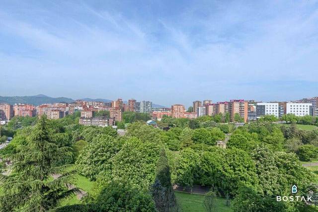 Piso en Venta en Avenida Julian Gaiarre Etorbidea en Txurdinaga