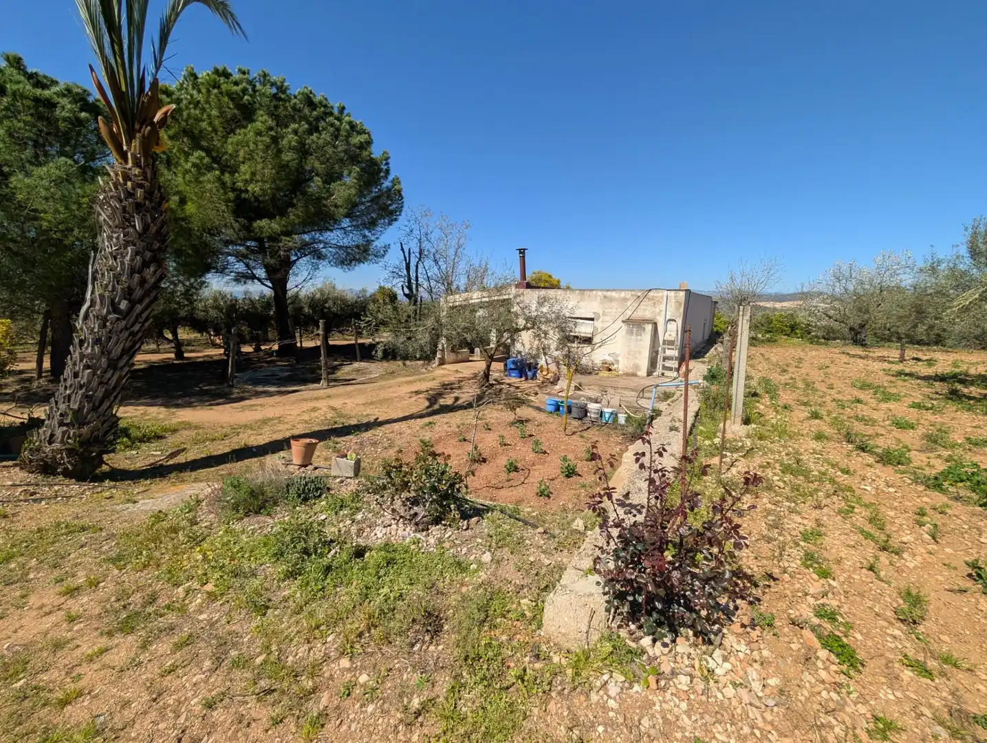 Grundstücke zum Verkauf in Ulldecona