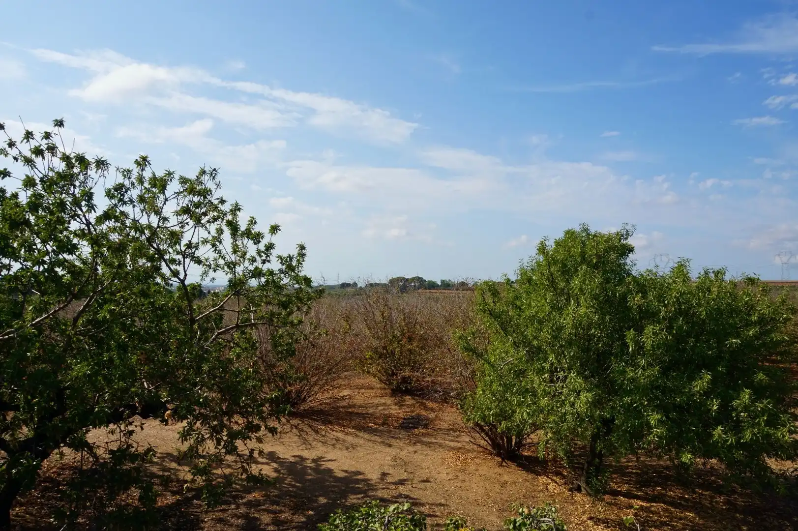 Terrain rustique à vendre à Moli de Vent, imagen 33