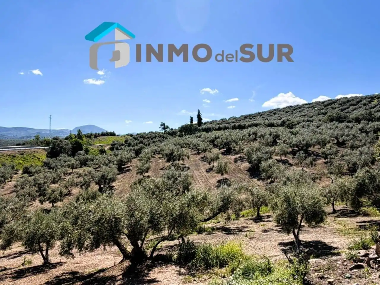 Terreno rustico in vendita a Carretera Lucena-Doña Mencía, imagen 9
