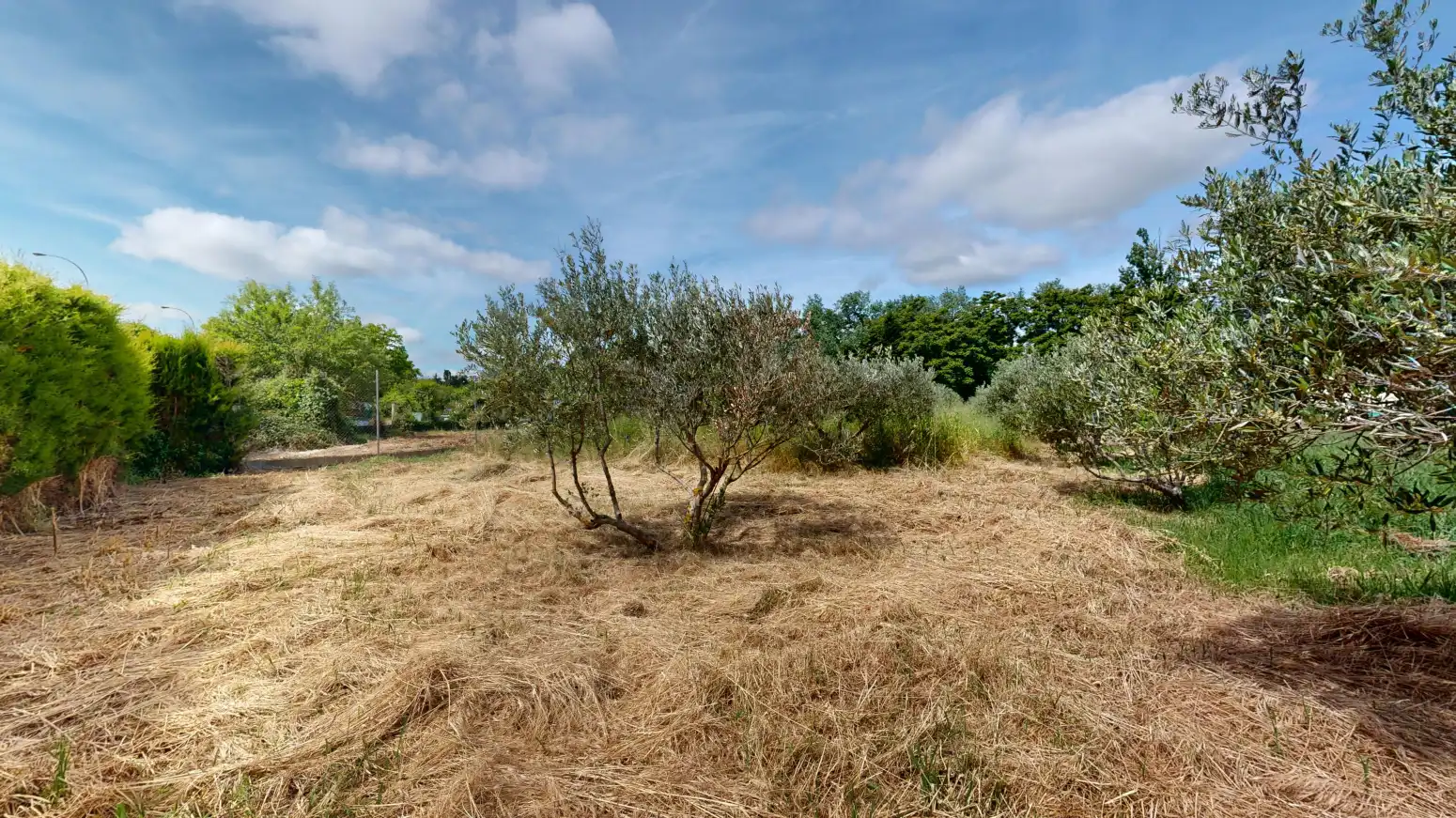 Rural land for sale in Tafalla - PARAJE LA RECUEJA, imagen 61