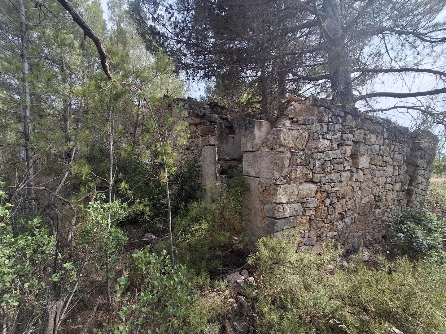 Rural land for sale in Gandesa, imagen 3