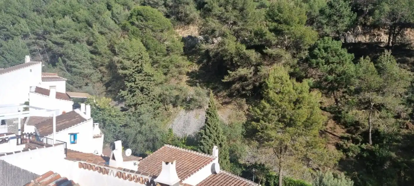 Detached homes for sale in Cómpeta  with Terrace and Swimming Pool