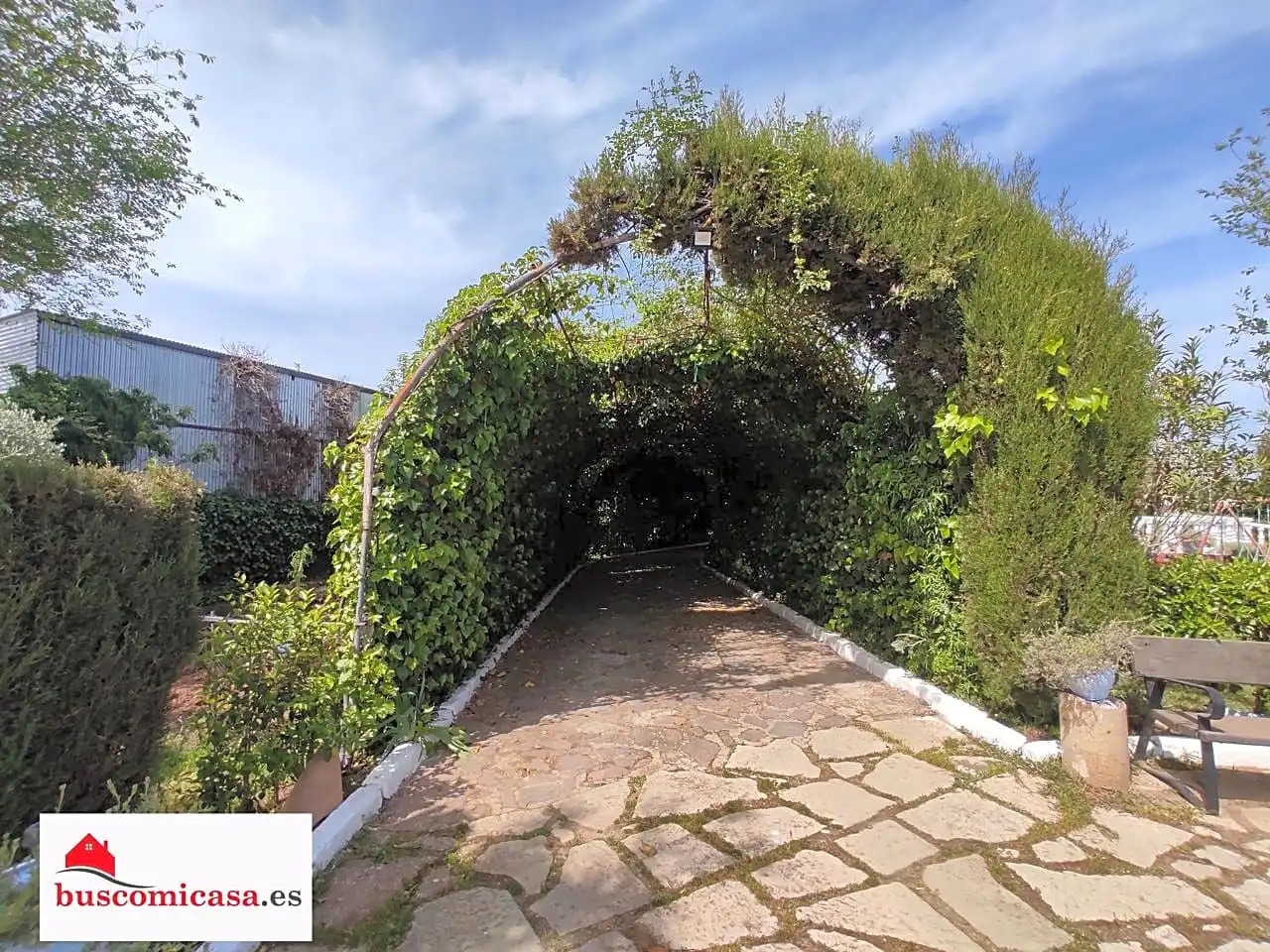 House with pool for sale in Diseminado Huertos San Roque, imagen 9