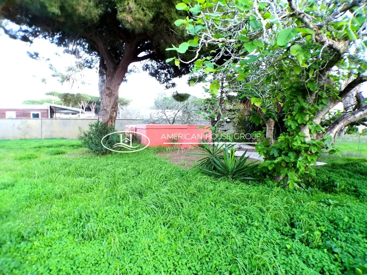 Jardín de Casa o chalet en venta en Chiclana de la Frontera con Piscina