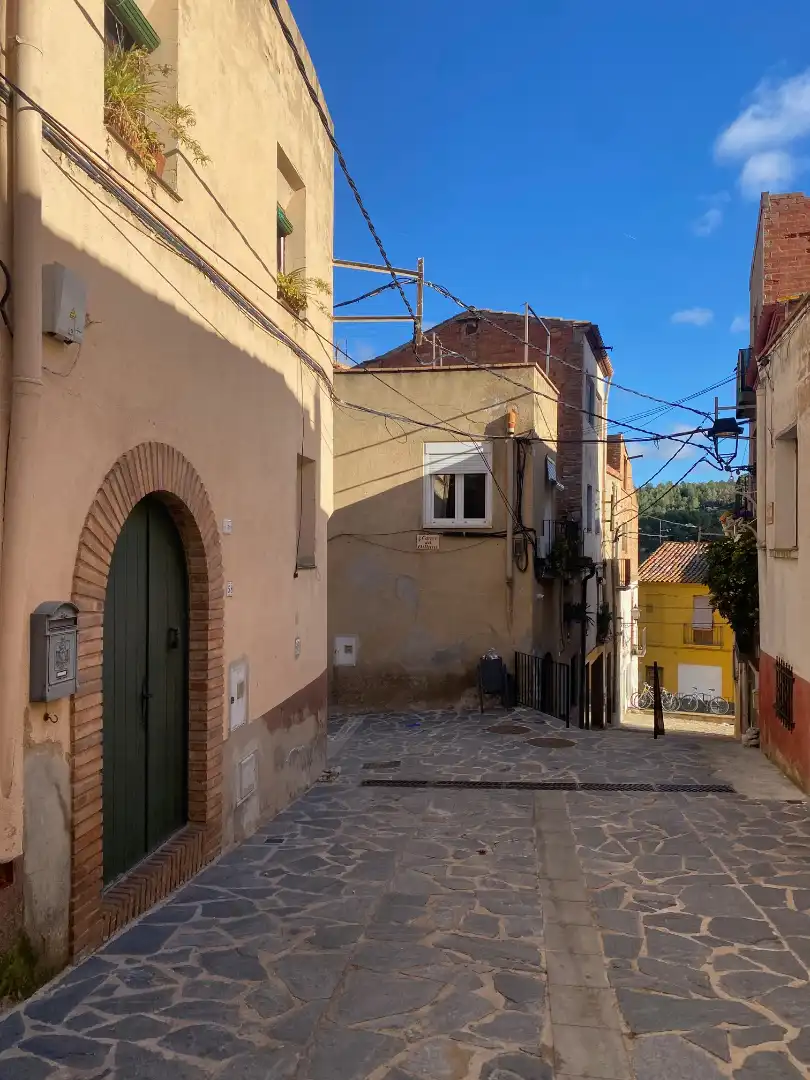 Vista exterior de Finca rústica en venta en Riudecanyes con Calefacción, Terraza y Amueblado