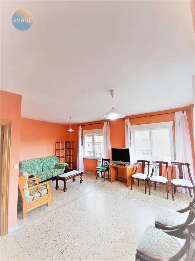 Living room of Flat for rent in Salamanca  with Heating, Terrace and Furnished