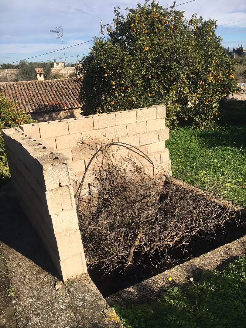 Garden of Land for sale in Beniflá