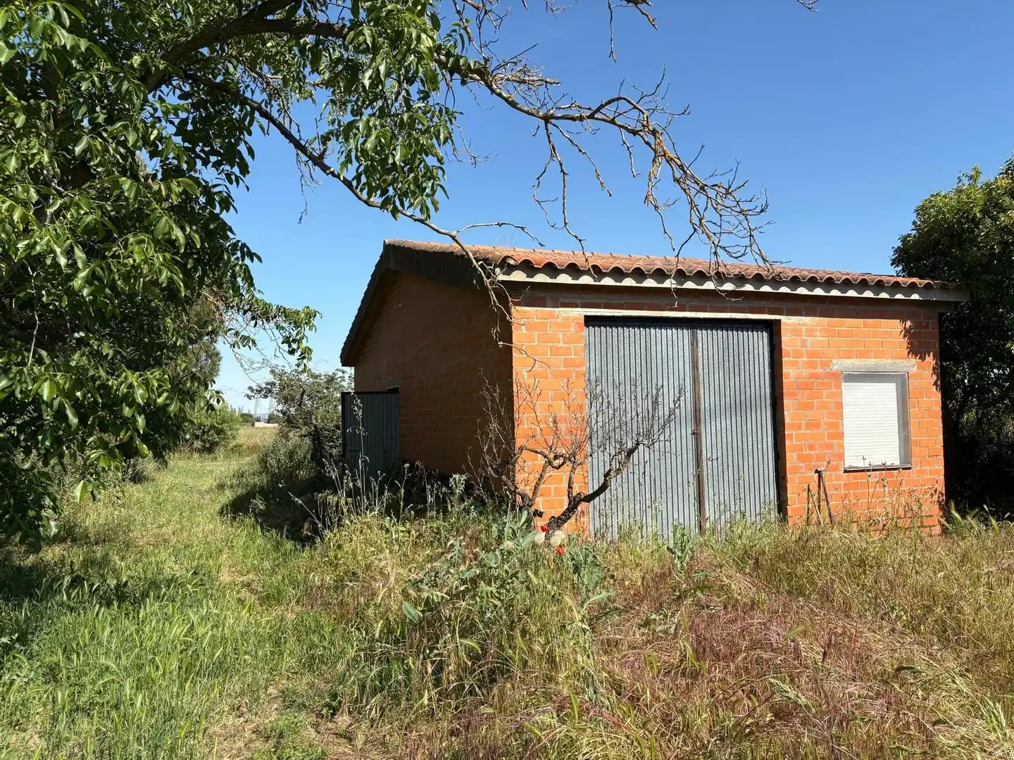 Finca rústica en venda en Urbanización Siglo XXI - Carretera de Villalpando