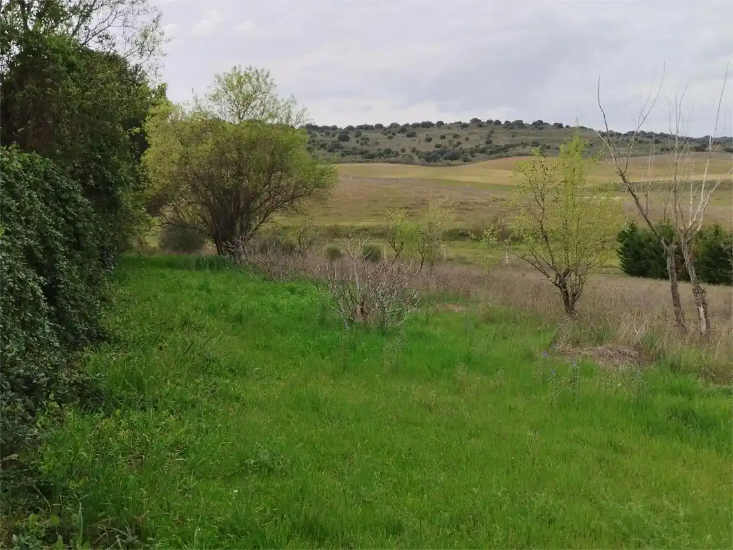 Residencial en venta en Ribatejada