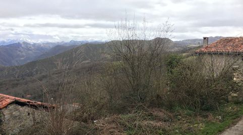 SOLAR CON RUINAS DE CASA Y CUADRA CERCA DE CANGAS DE ONIS CON VISTAS A PICOS DE EUROPA, immagine 4